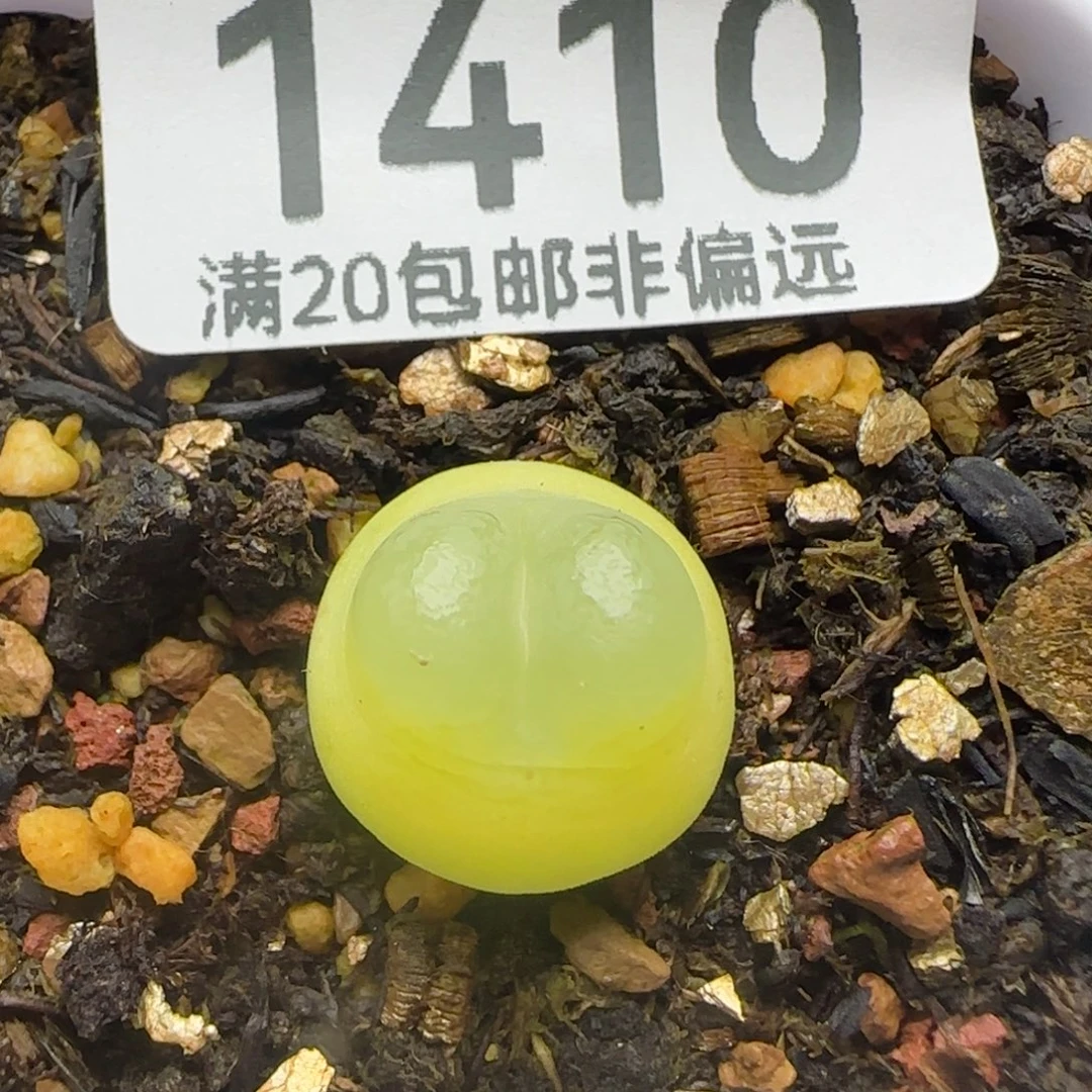 拉登1.3脱土1200。