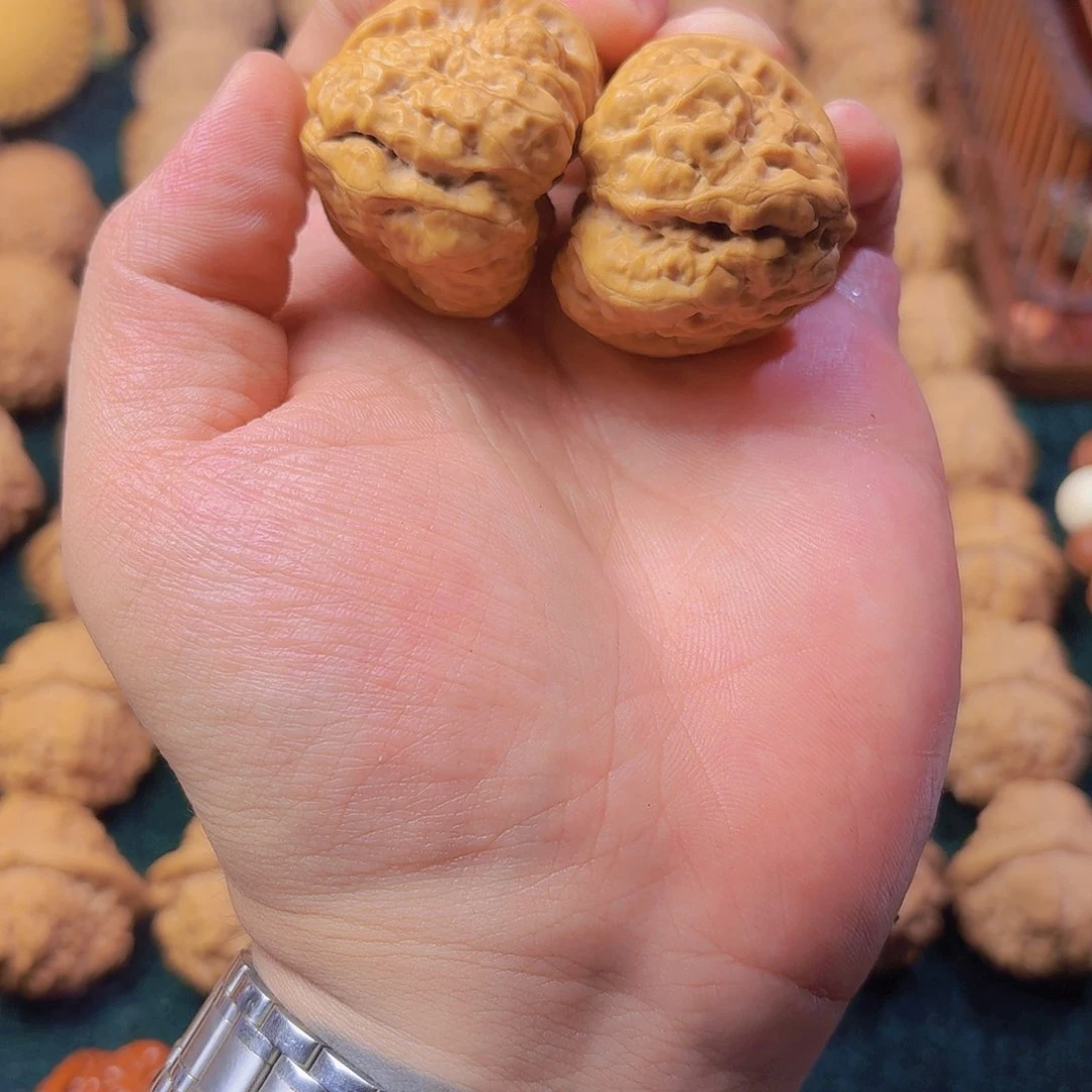 杀***碌怀柔蛤蟆头全品四开背三角蛙