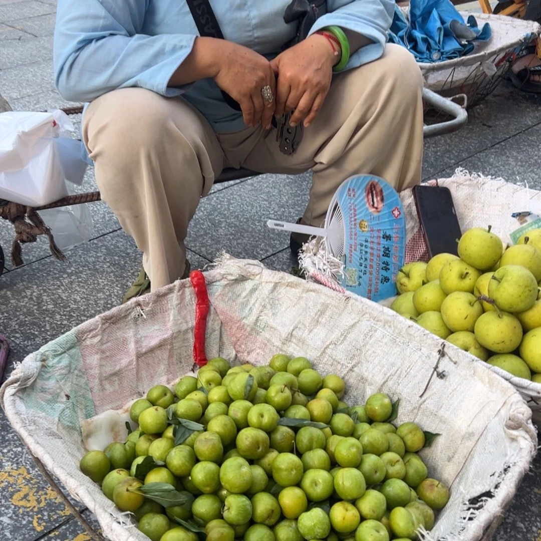 南竹笋中国大陆贵州葑塘里三都发