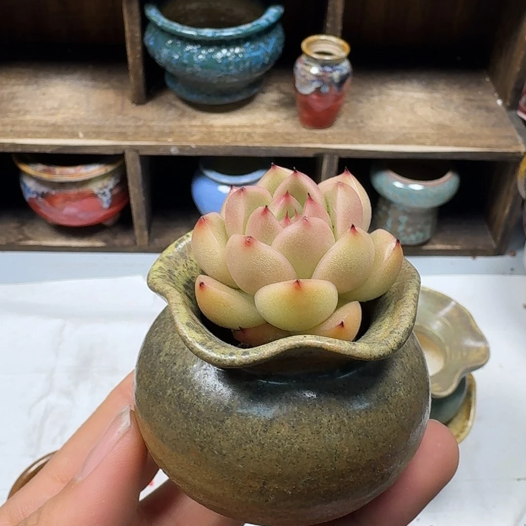 罐～***～陶瓷艺术品设计与制作