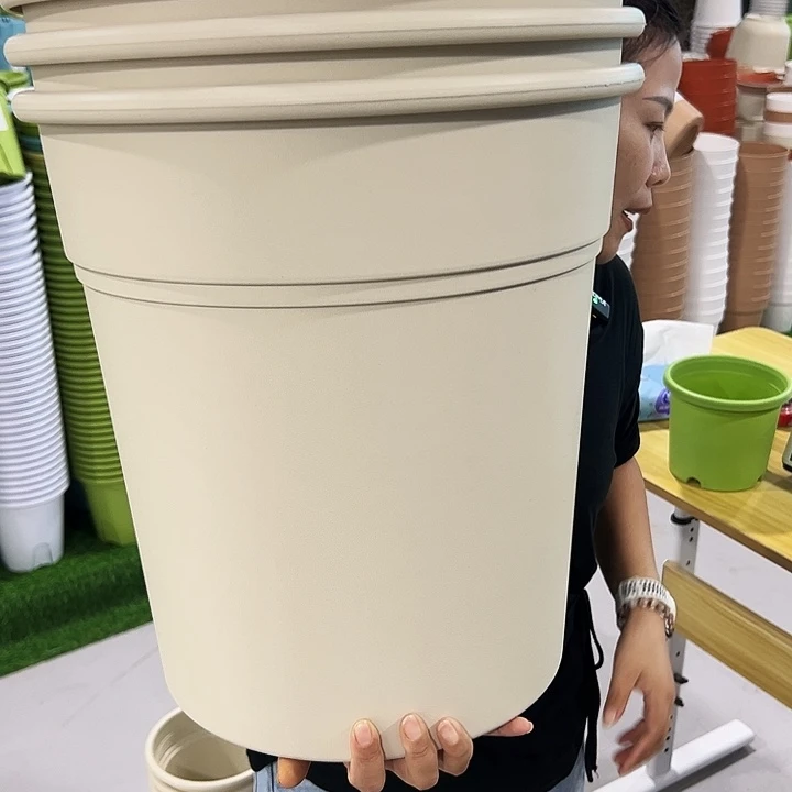 微瑕翻边口37.5高40米色无托3只