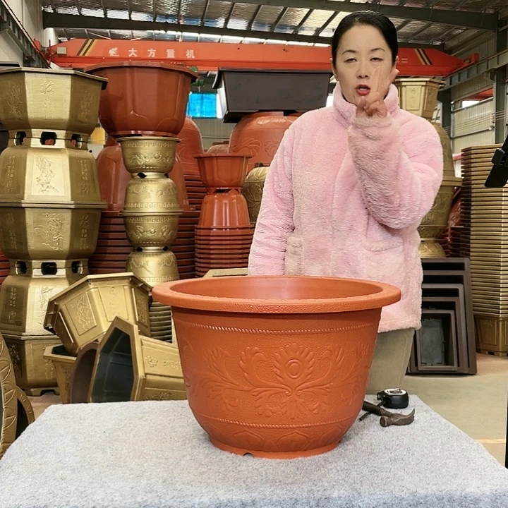 圆盆红色五零两个