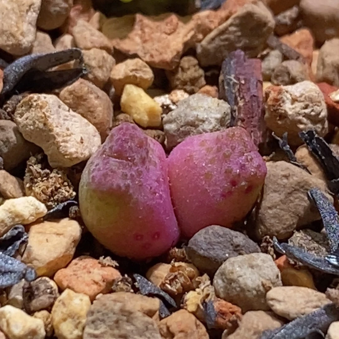 好看好看好看好看好看