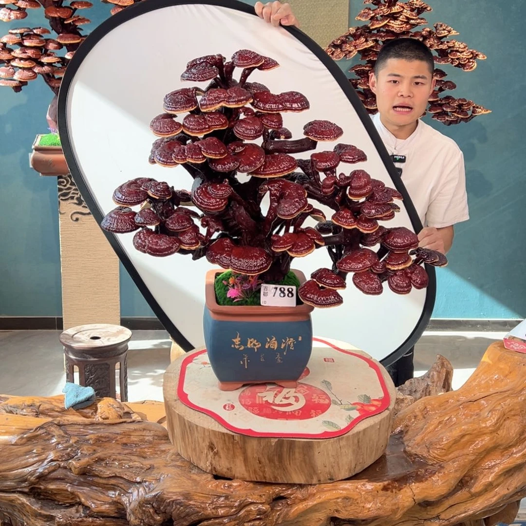 无花朵88888888888888