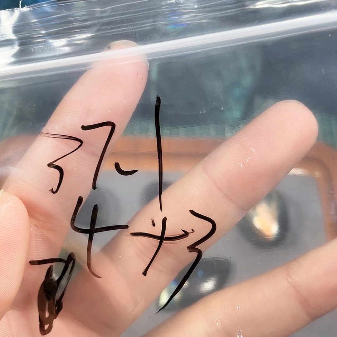 长石吊坠(不含链)未镶嵌3***℃