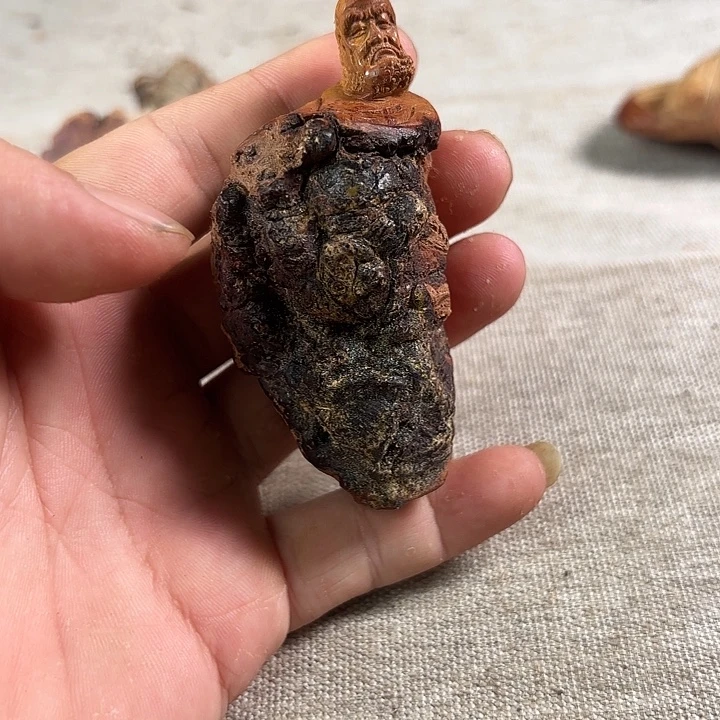 @****崖柏崖柏结香达摩