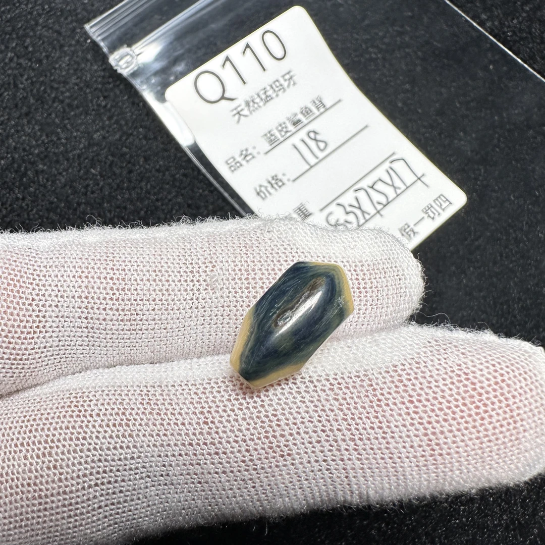 Q110天然猛犸象牙蓝皮鲨鱼背三通8.3*7.5*17mm