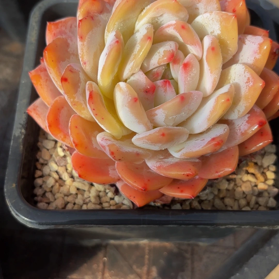 Jhmnbvvhhgghhhjjjjbbbhhv