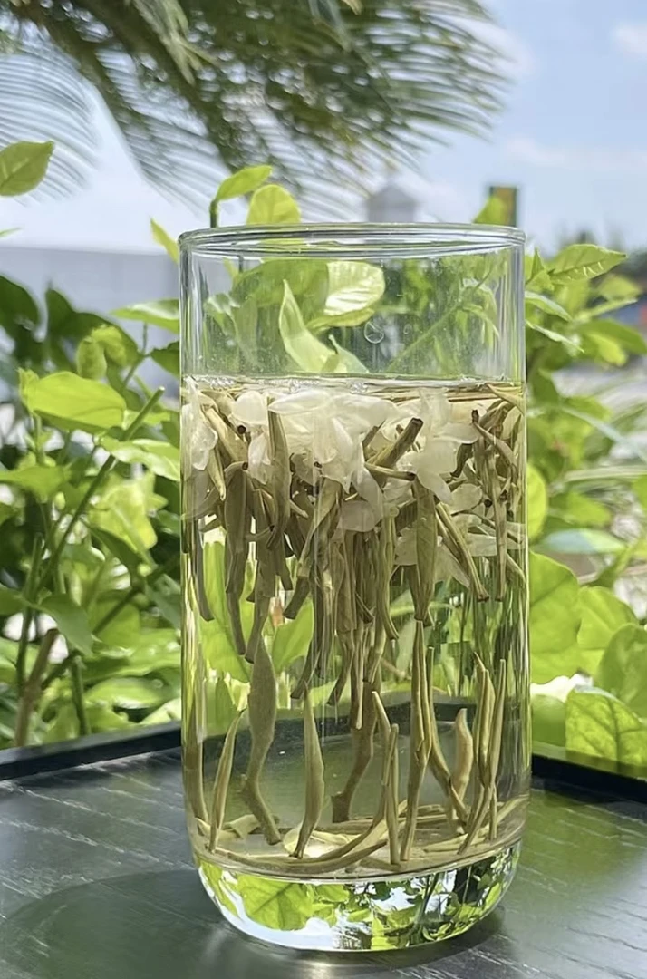 300雪竹清香型2025年新茶