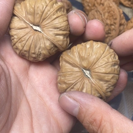 吊坠文玩核桃南瓜