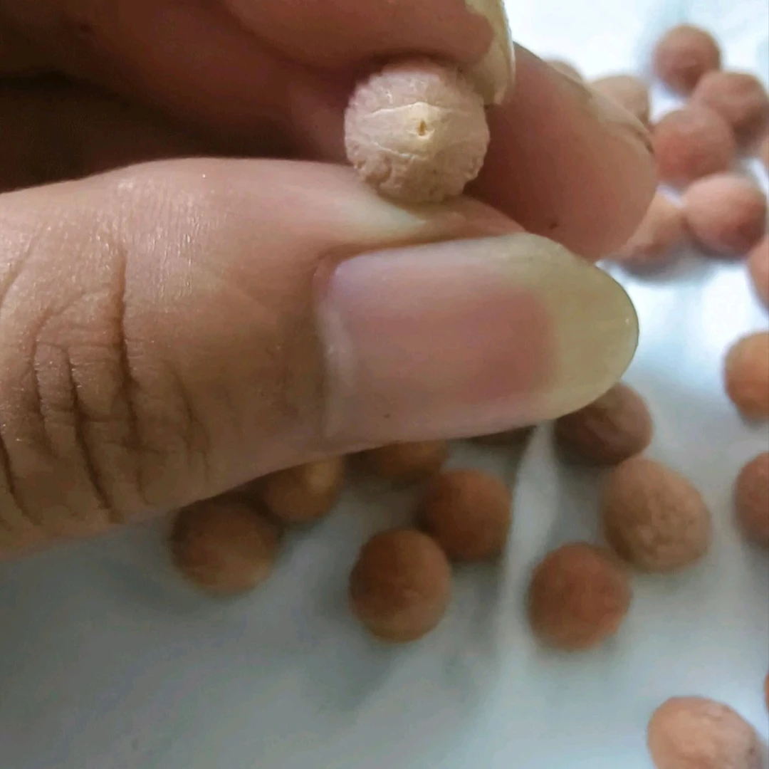 国产凤眼酸枣核精筛直发无坏籽圆度高原皮原色无药