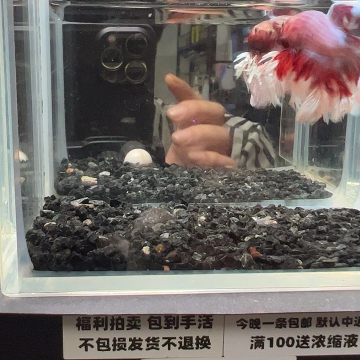 斗鱼跑单拉黑3日1