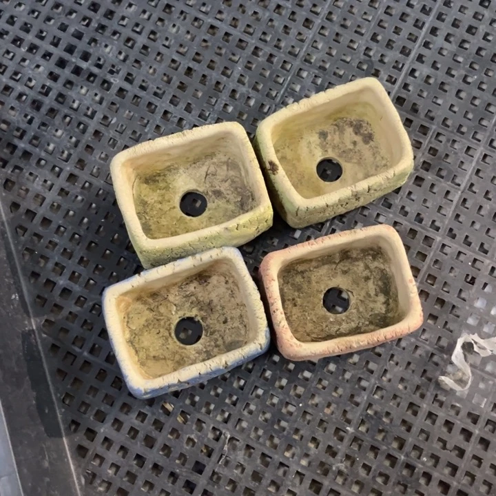 红陶楚**人我的心好痛啊我的心真的好痛