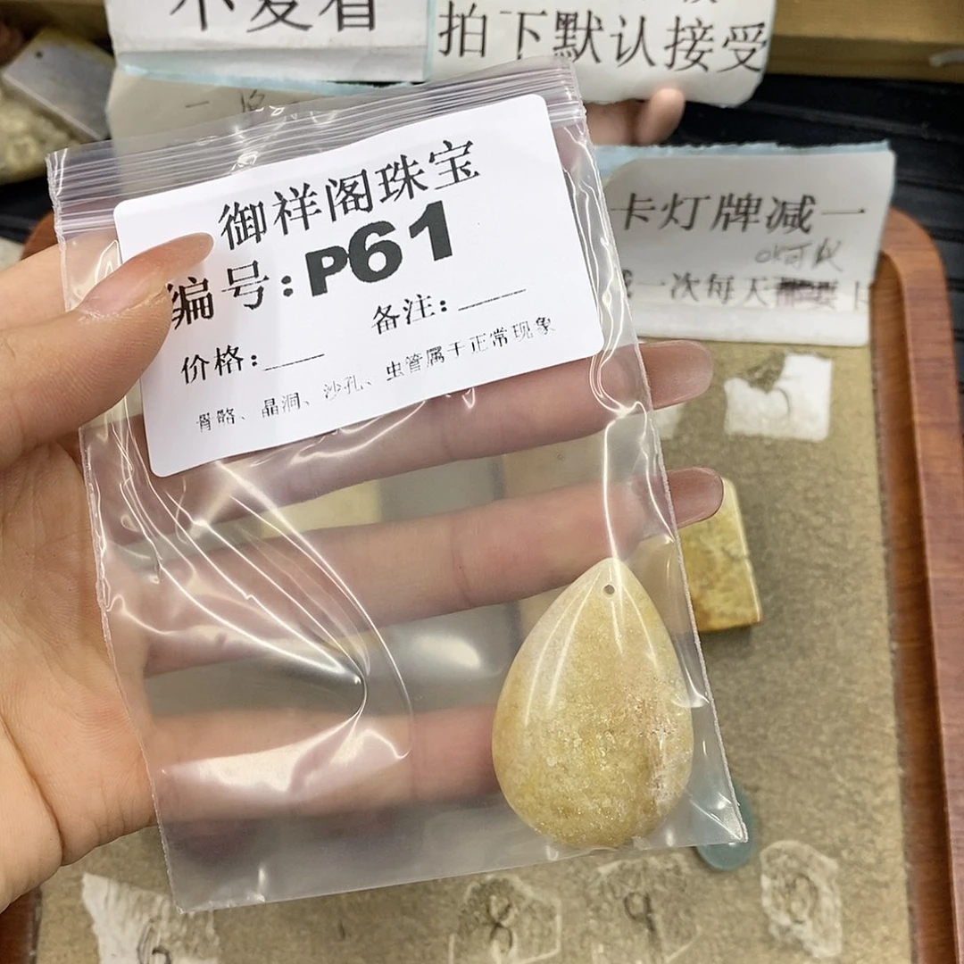 硅化珊瑚（珊瑚玉）未镶嵌颈饰腿***九