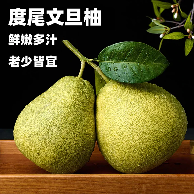 【邮政推荐】正宗福建仙游度尾老树文旦柚大好果新鲜多汁现摘现发