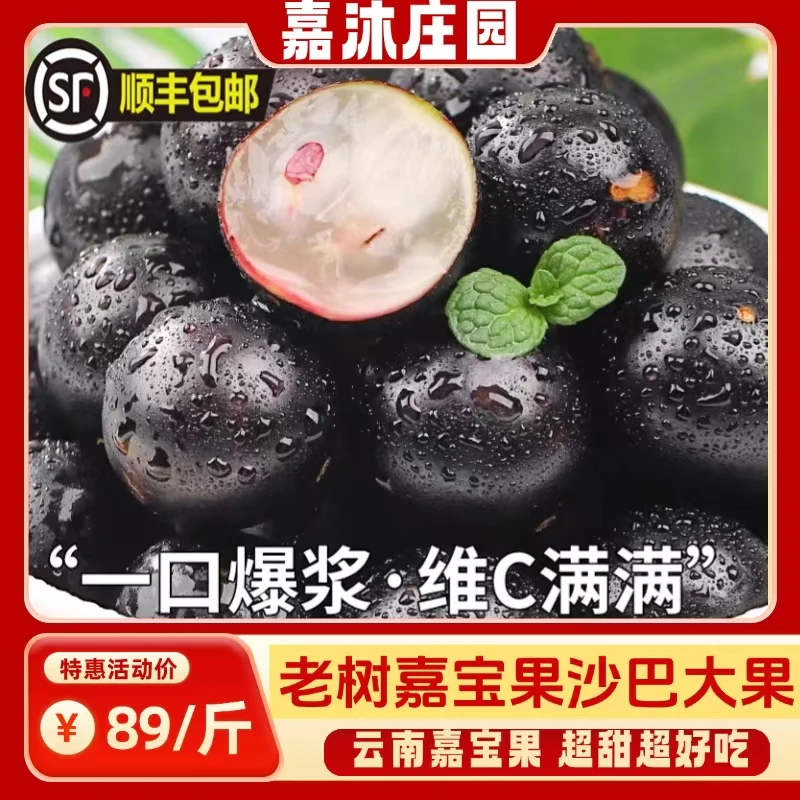 云南嘉宝果老树沙巴树葡萄现鲜摘大果8-12g孕妈妈甜水果顺丰空运