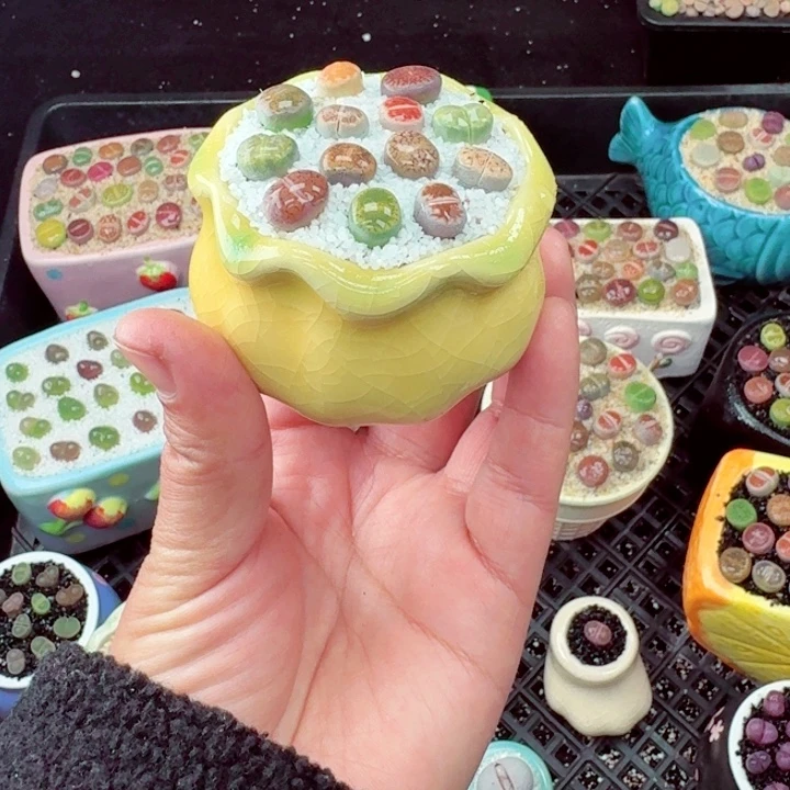 533零下地区记得拍保温箱满18包邮