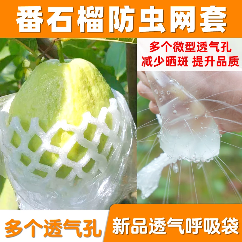 番石榴套袋网袋芭乐防虫网袋专用一体泡沫包装袋石榴袋水果网套
