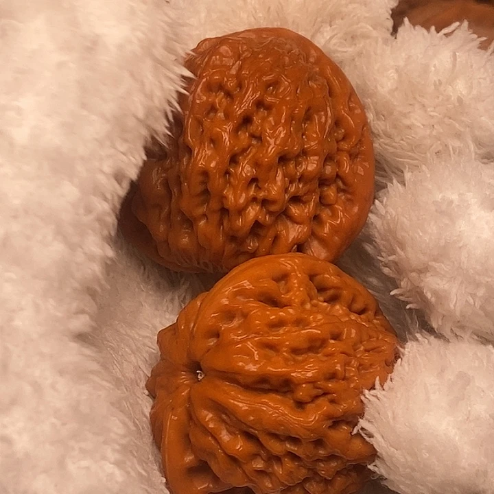 文玩核桃把件中*人金公子有修