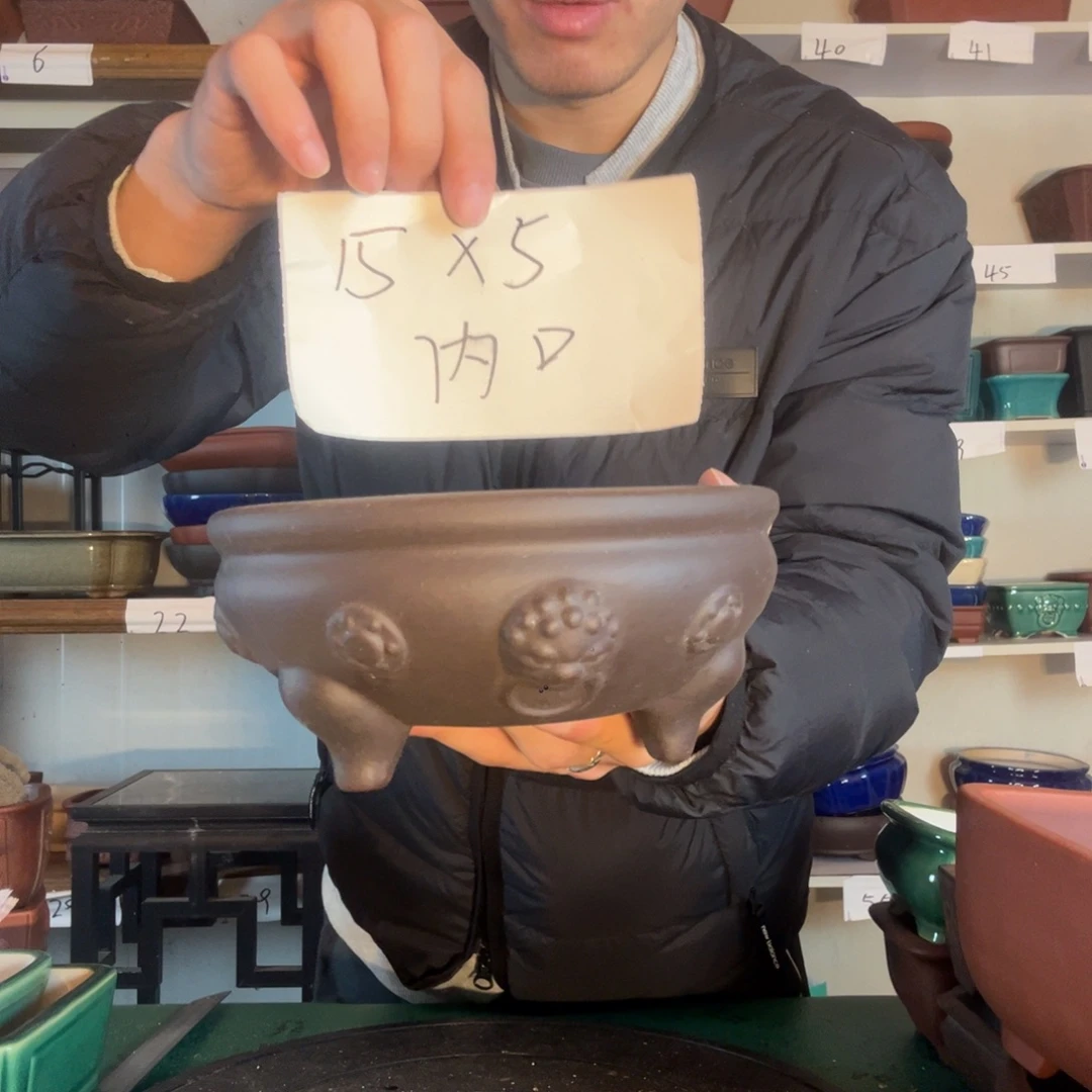 规范的层次感与聚餐f天