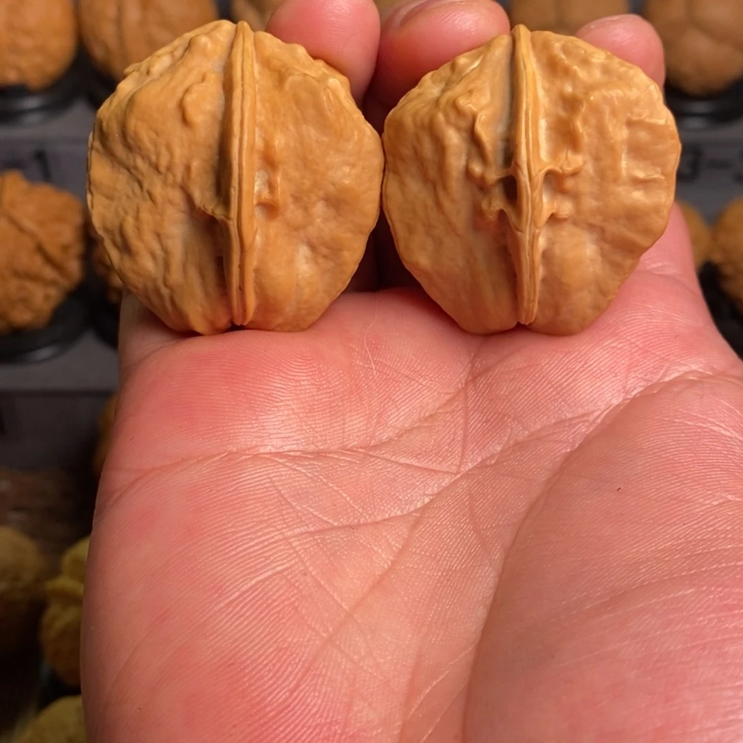 把件文玩核桃不*甲壳虫