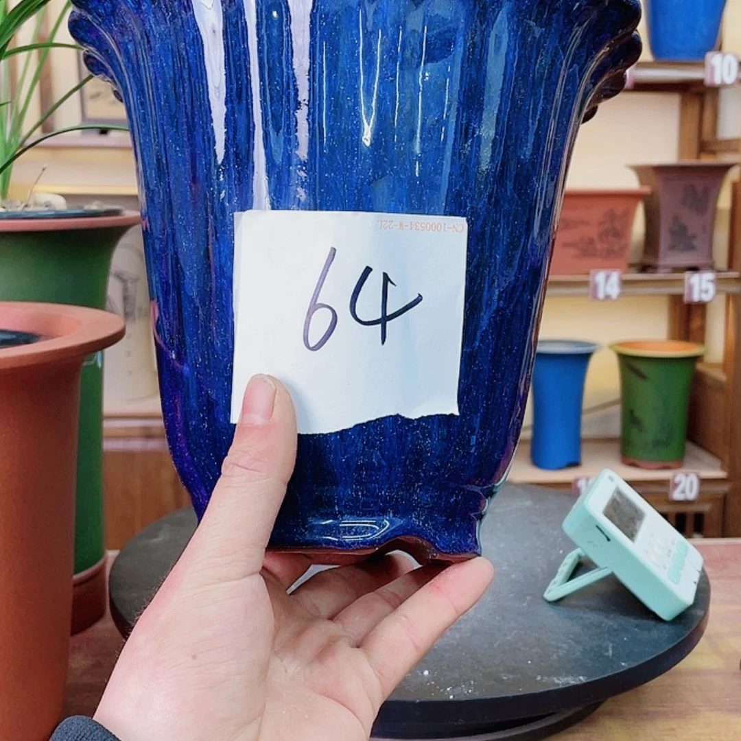 【闪购商品】紫砂花盆福****茶兰花45225522555555