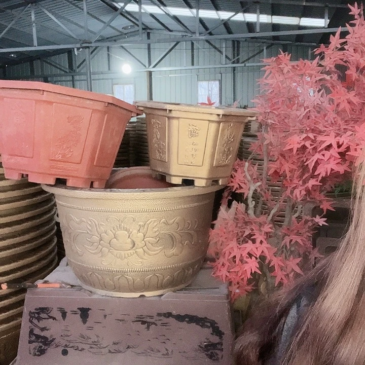 圆70两个有孔金色的