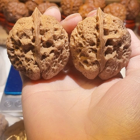 文玩核桃把件霸王龙带彩45
