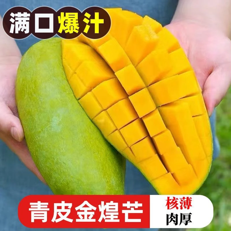 [生熟两吃]云南青皮金煌芒大青芒带箱5-10斤装发货（送辣椒面）