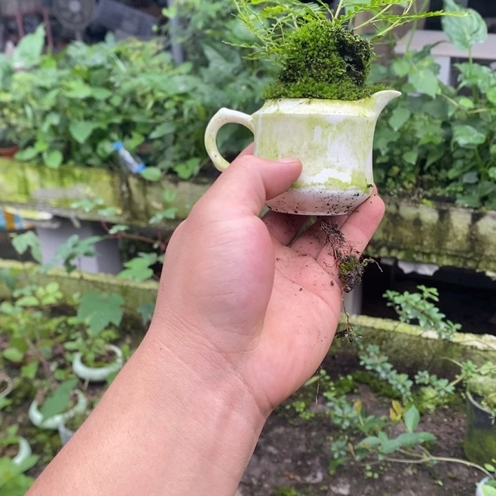 ?****呀一物一拍所见即所得292