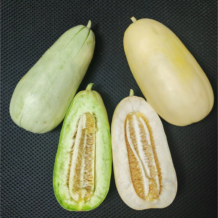【拼装甜瓜】天美甜瓜➕酥蜜甜瓜酥脆香甜新鲜采摘