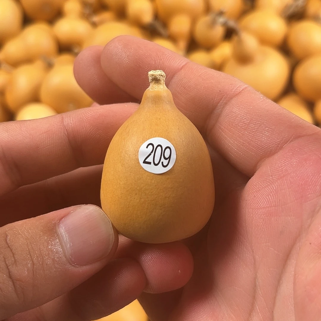 一葫芦葫芦葫芦葫芦葫芦209