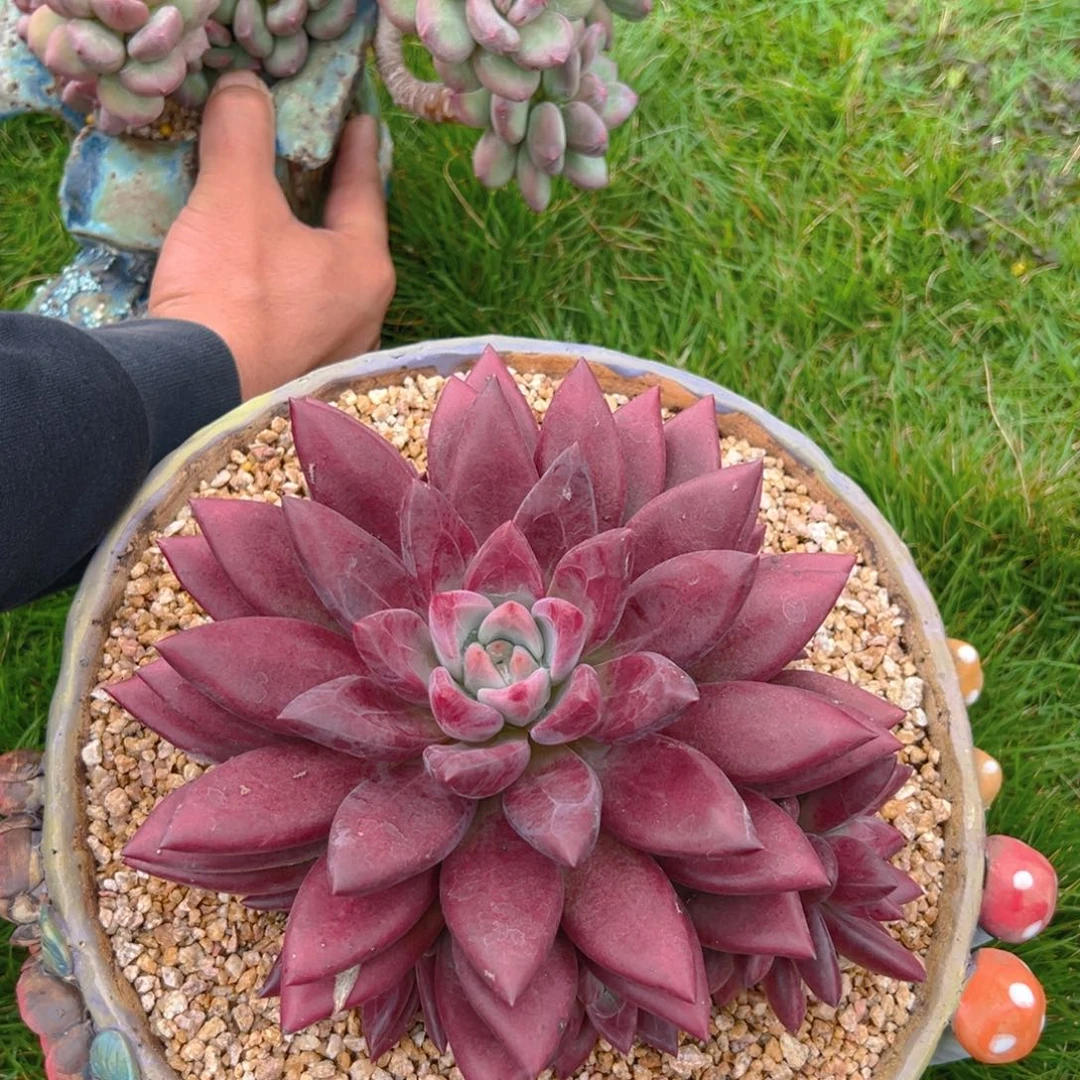 9271111111111111111111