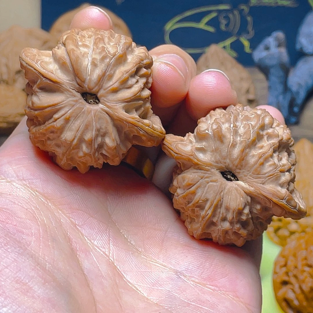 是***的43尺血麒麟原桩红皮手把