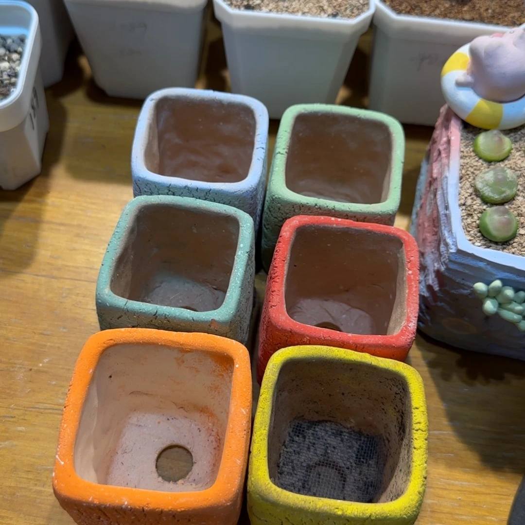 红陶牛**作当然让人当然当然当然