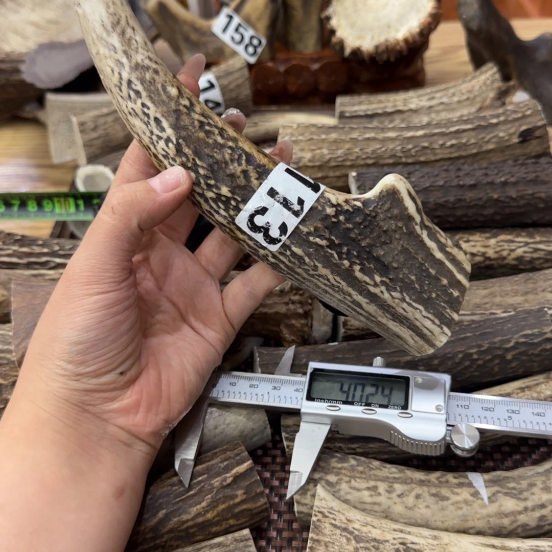 其他鹿骨113刀柄梅花鹿