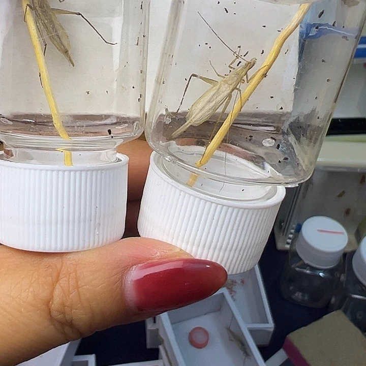 柬埔寨哈哈哈哈哈哈哈哈哈哈哈