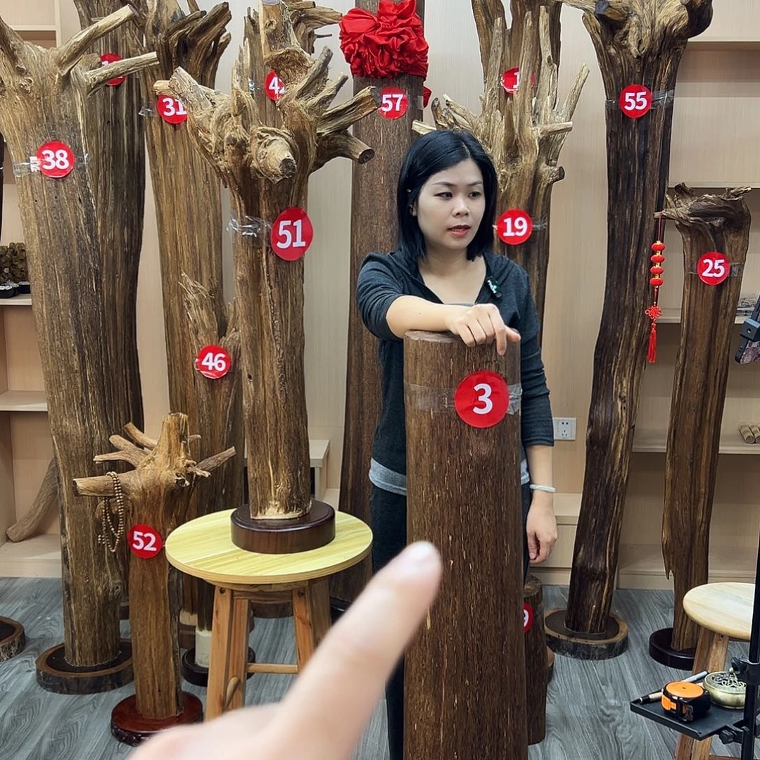 黑***哥沉香碎屑沉香沉香