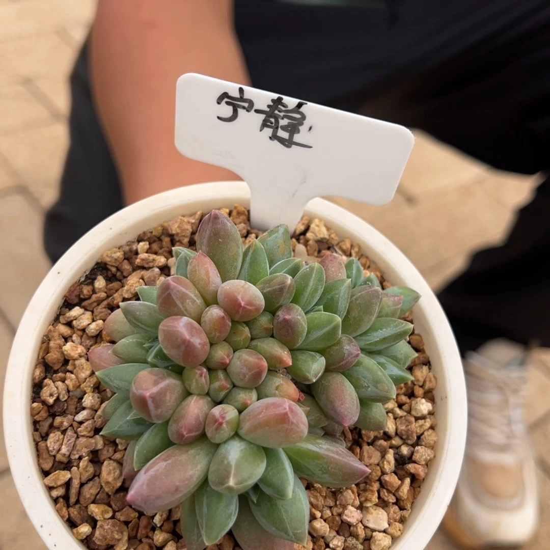 宁***静我在等我们领导给你发工资