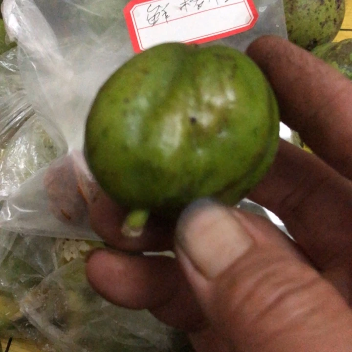 家****）文玩核桃蛙蛙异形