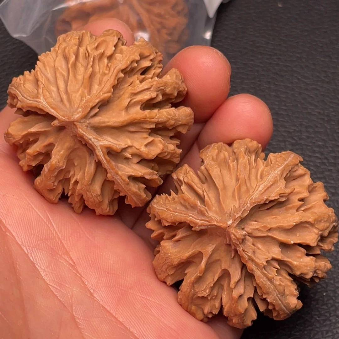 秦岭山脉和黄土高原