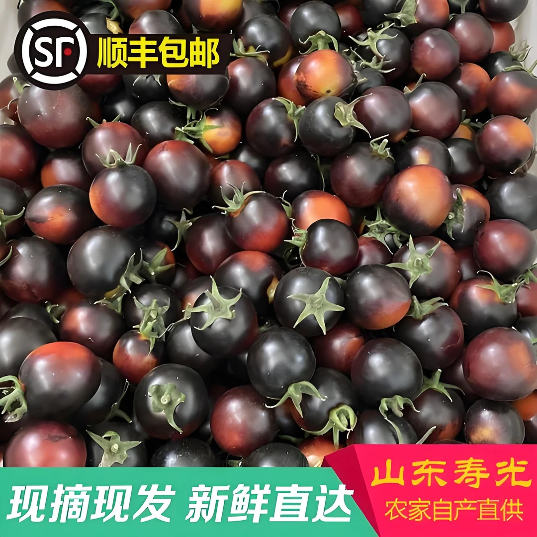 黑色小番茄花青子黑宝石黑玫瑰含花青素非转基因顺丰京东包邮