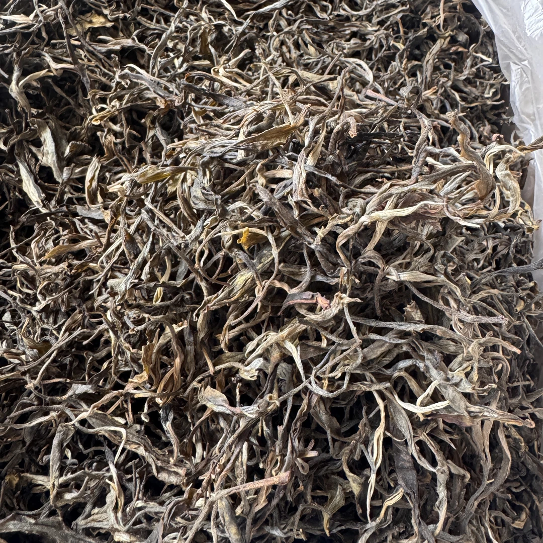 2025年头春老曼夕174号高杆古树 普洱茶（生茶）散茶