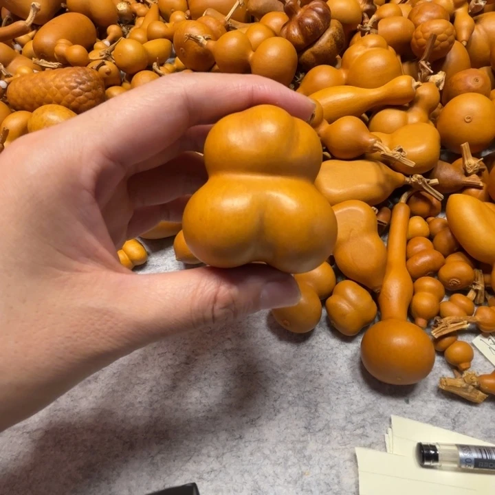 钿***甜甜的一把葫芦蝴蝶