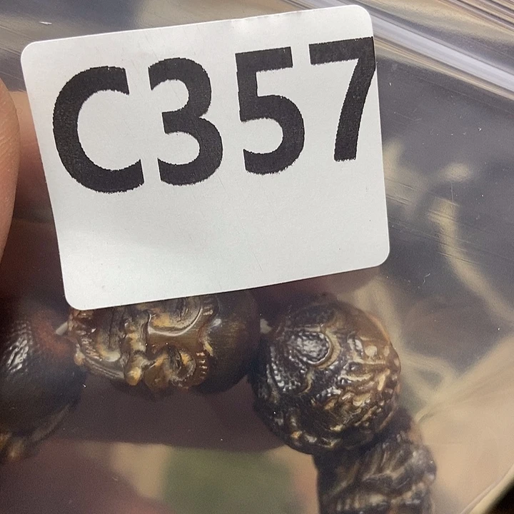 大叶紫檀（黑酸枝木类）难***丫357