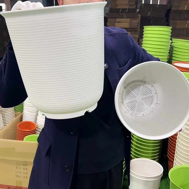 正品高陶口30高31白色无托3个