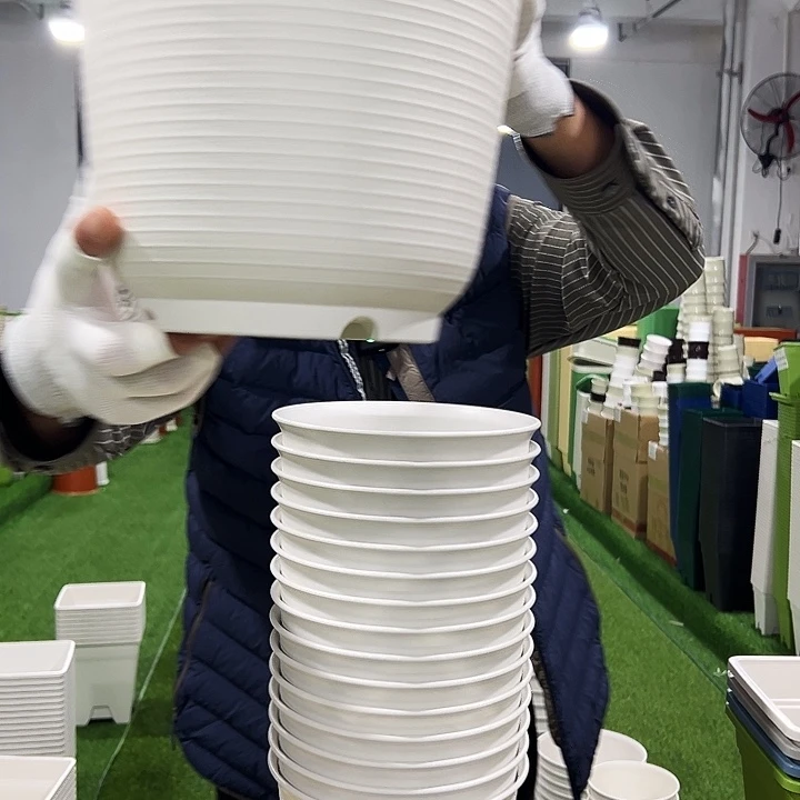 正品矮陶口21高15白色8只无托