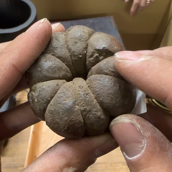 二**…哈哈哈哈哈哈哈哈