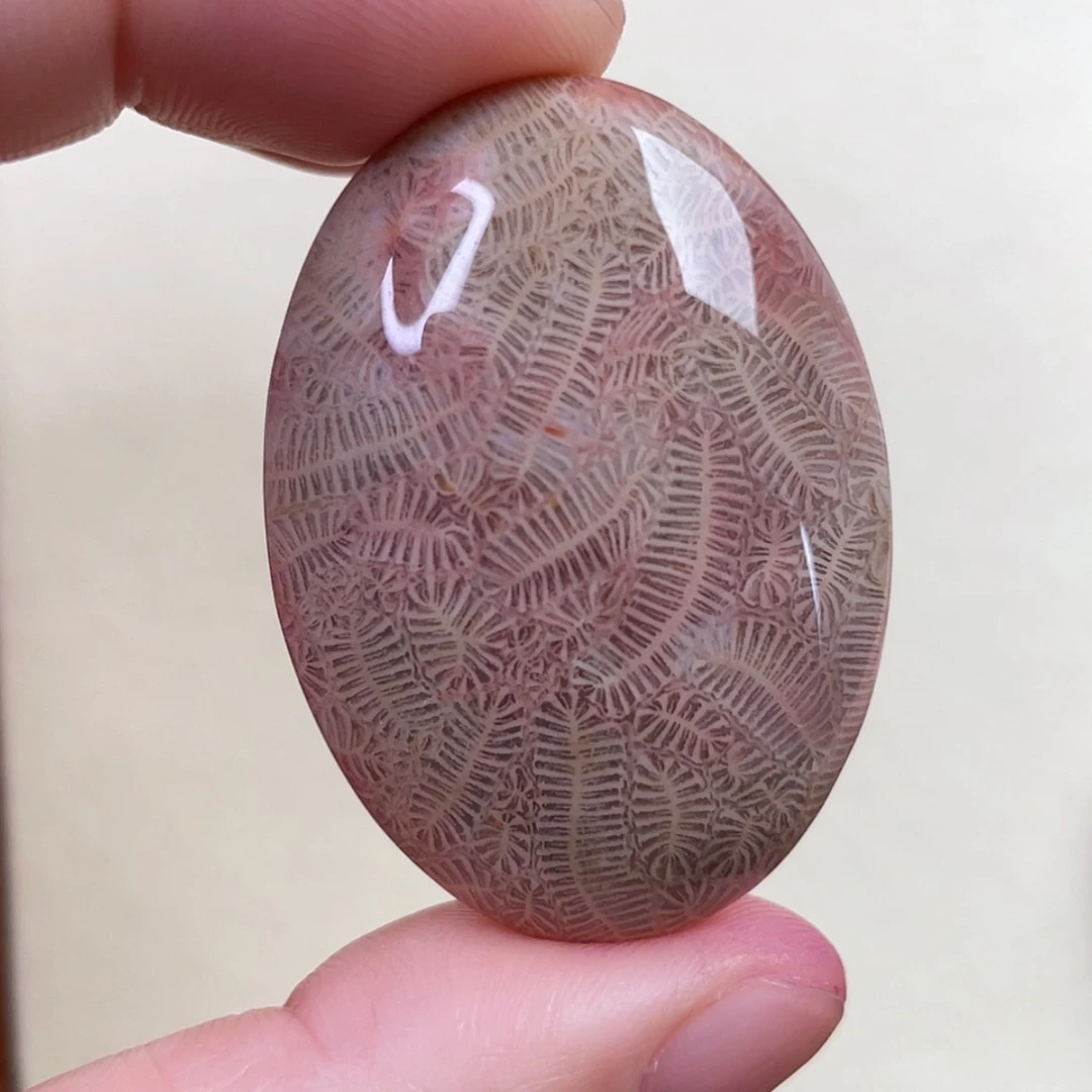 【闪购商品】硅化玉手镯未镶嵌
