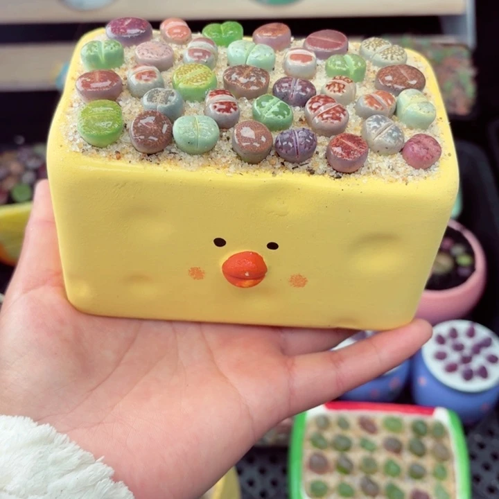 543零下地区记得拍保温箱满18包邮